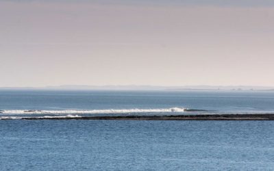 On cold water swimming and St Cuthbert