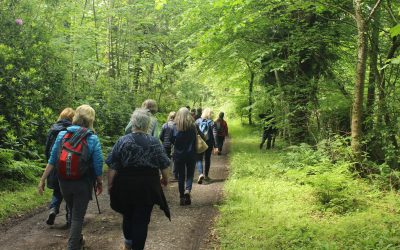 Old Melrose Walk and Talk event