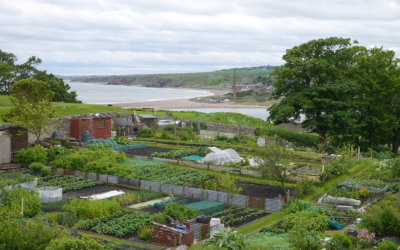 Gardening and writing